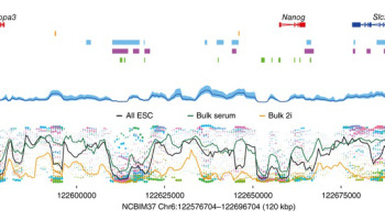 New technique maps life's effects on human DNA.