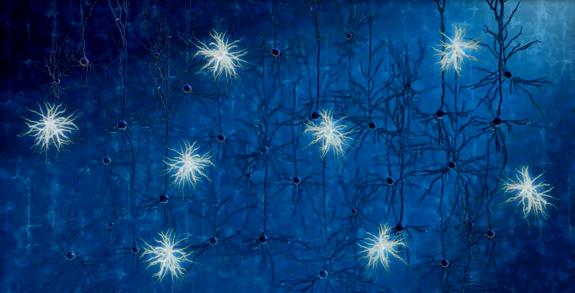 An activated basket cell