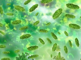 stock illustration of gut bacteria stock illustration of gut bacteria