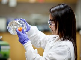 A researcher in the QB3 lab A researcher in the QB3 lab