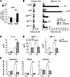 EP2 signaling modulates inflammatory responses to Aβ42 oligomers in an age-