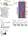 Microglial EP2 signaling regulates distinct immune and non-immune pathways