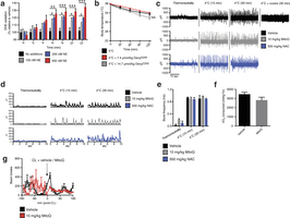 Assessing superoxide in brown adipocytes and effect of mitochondria-targeted compounds on shivering, body temperature, and movement.
