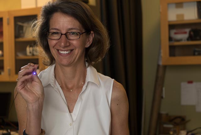 Imaging Software Could Speed Breast Cancer Diagnosis