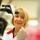 FDA-approved Stem Cell Trial Dramatically Slows ALS